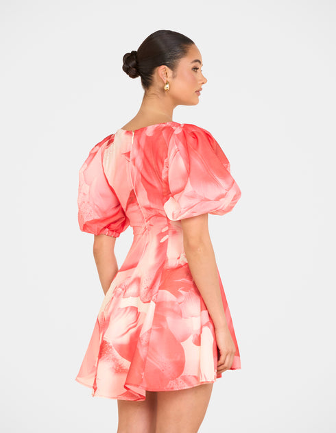 Tiffany Puff Sleeve Mini Dress